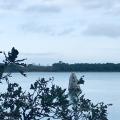 Img 3502
