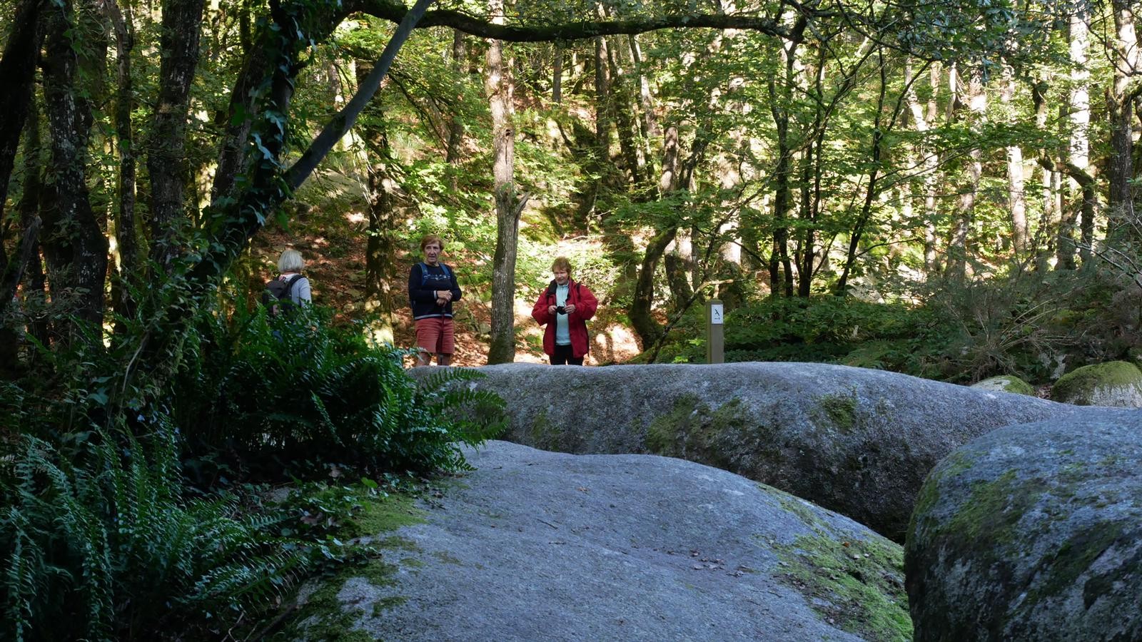 Photo 2023 10 10 19 55 41