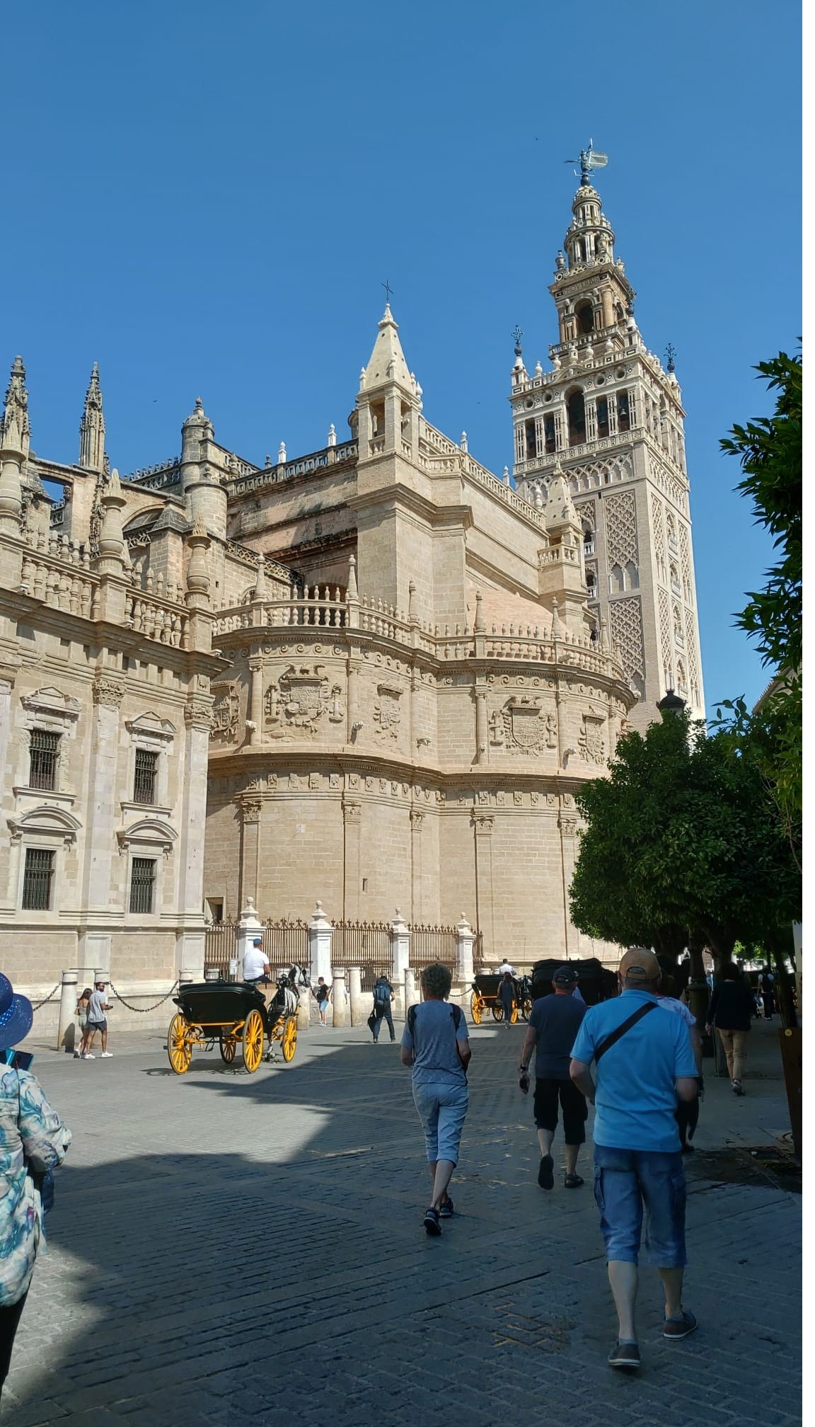 Seville 3